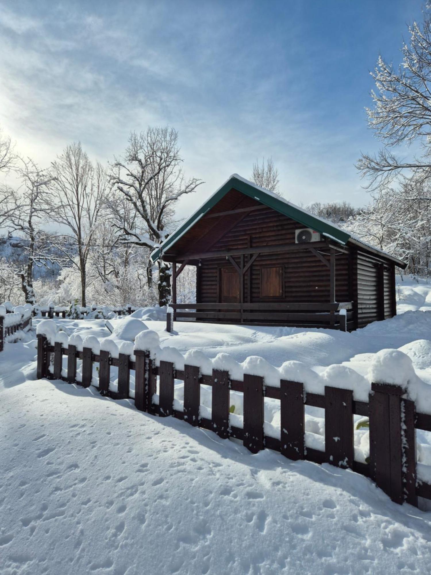 Cabin House Dubovik Cetinje Ngoại thất bức ảnh