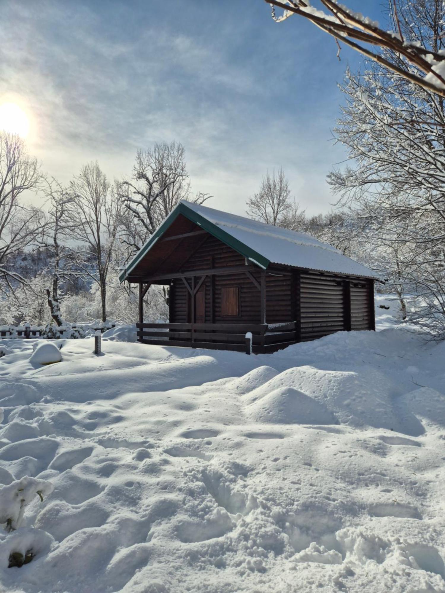 Cabin House Dubovik Cetinje Ngoại thất bức ảnh