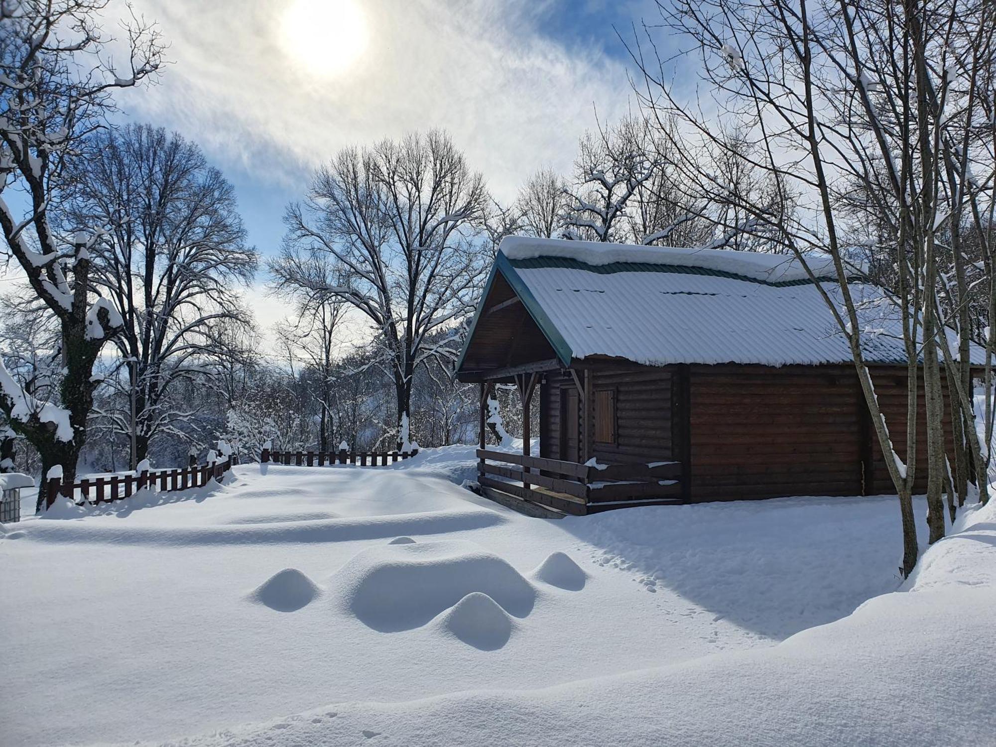 Cabin House Dubovik Cetinje Ngoại thất bức ảnh