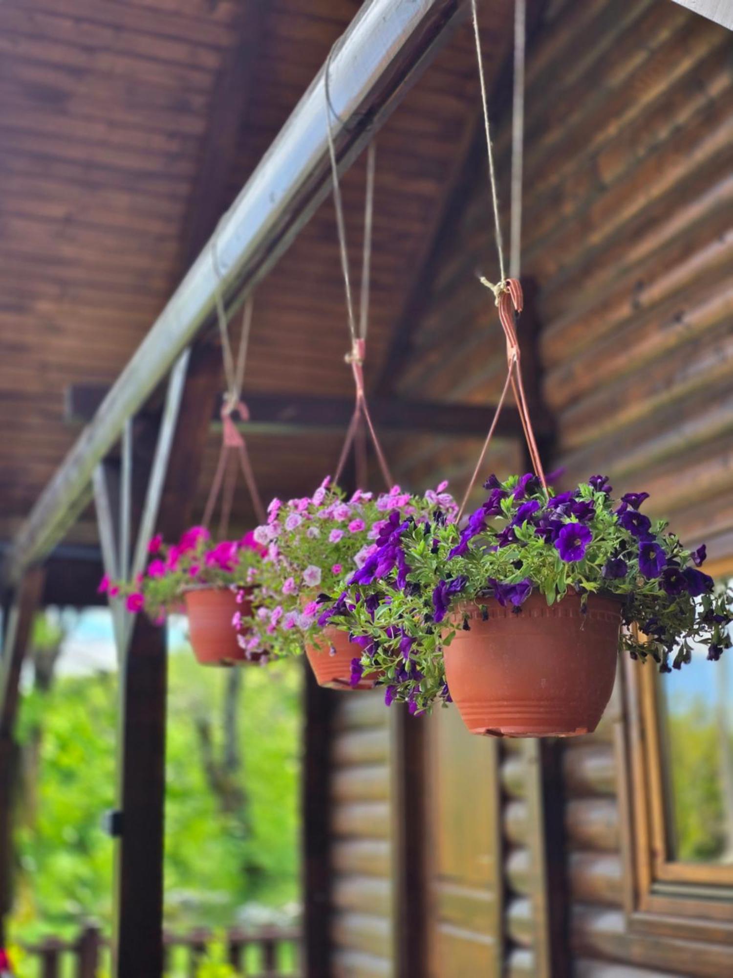 Cabin House Dubovik Cetinje Ngoại thất bức ảnh